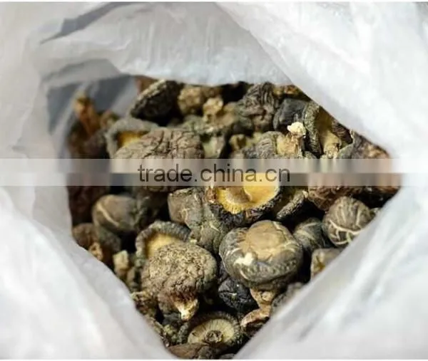 Dried Shitake Mushroom for Importer photo-4