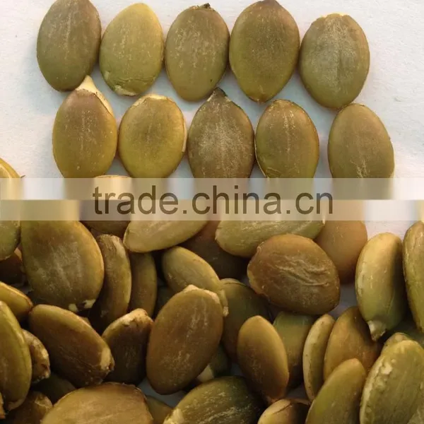 Wholesale Pumpkin Seeds Kernel Shine Skin AA photo-6