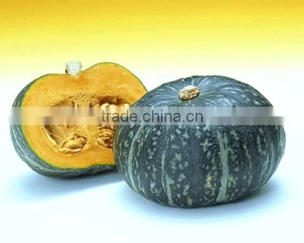 Organic Pumpkin Seed Oil Essential Oil photo-3