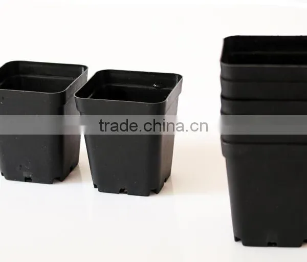 Succulent Plants Square Pot photo-2