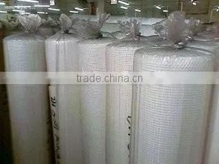 Fiberglass Gridding Cloth ( Factory Exporter) photo-2