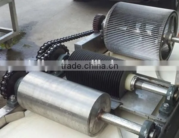 Dried Fruit Dicing Machine photo-3