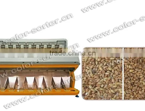 High Output Capacity Wheat Color Sorter Machine/wheat Separator photo-2