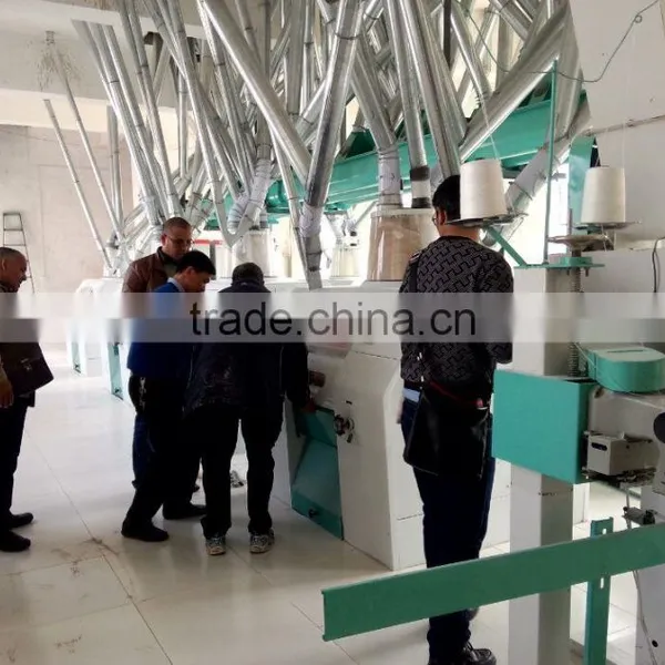 300t/24h Wheat Flour Mill Complete Production Line photo-3
