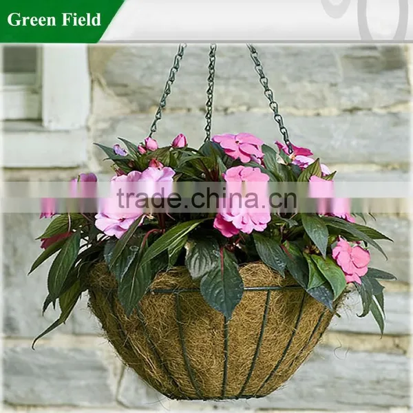 Hanging Basket photo-3