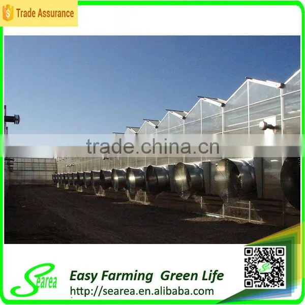 Agricultrual PC Sheet Greenhouse Shade Green House Design photo-3