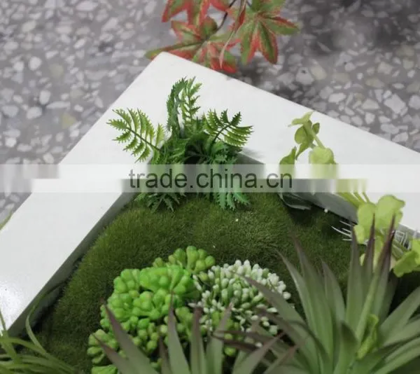 Indoor and Outdoor Artificial Succulent Plants Wall New Item Indoor Plant Wall photo-3