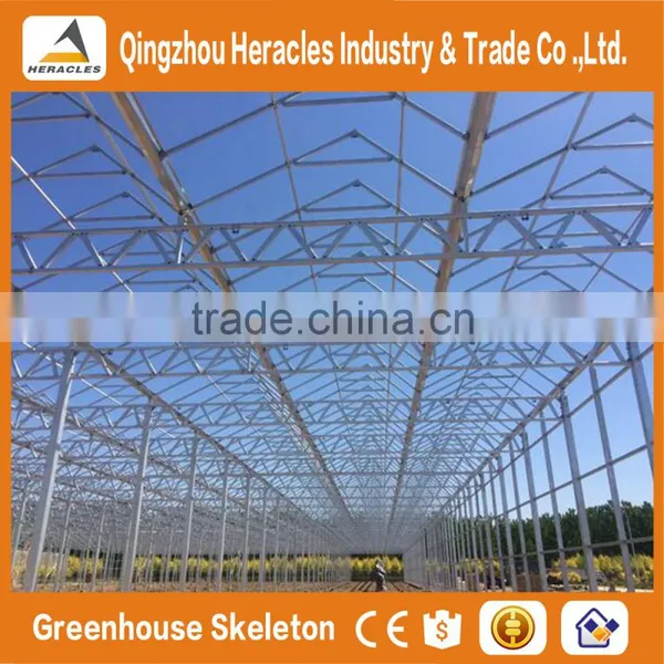 Heracles Venlo Glass Multi Span Agricultural Greenhouses photo-6
