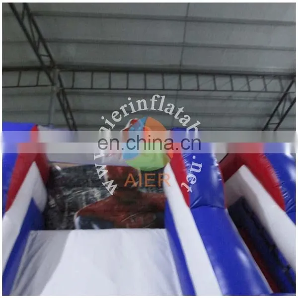 Nice Cartoon Inflatable Slide, Inflatable Giant Slide, Giant Slide for Sale photo-4