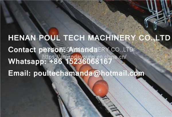 Philippines Chicken Farm Hot Galvanized Cage for Layer & A Frame Battery Hen Cage & Chicken Coop for Poultry Farm photo-3
