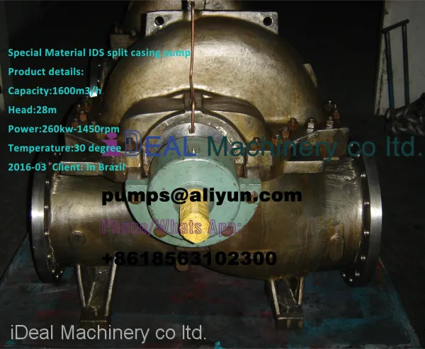 2 4IDS Split Casing Pump, Power Plant, for Cooling Water Transfer. 003