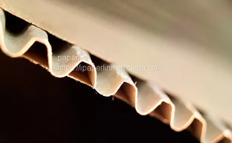 Kraft Fluting Paper Roll Making Machinery Corrugated Cardboard Production Line Paper Making Machine photo-5