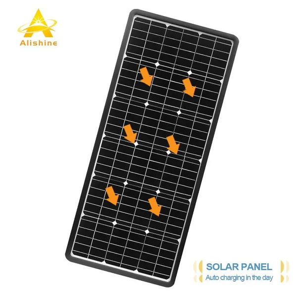 China Solar Street Light photo-4