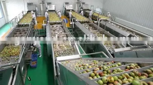 Fruit Vegetable Belt Juice Processing Machine photo-2