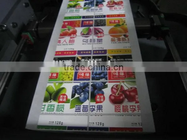 CNC High Speed Label Die-cutting Machine WJMQ-350B photo-6