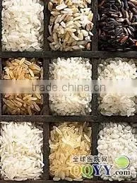 Flavored Artificial Rice Processing Line photo-6