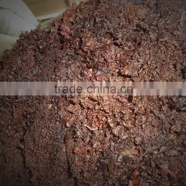 Sargassum Seaweed Powder Used for Organic Fertilizer photo-2