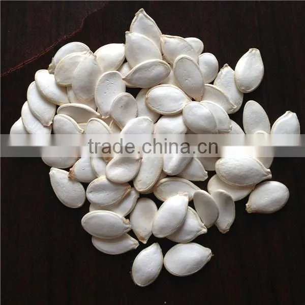Sell Pumpkin Seeds 11cm 13cm photo-2