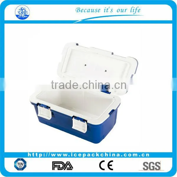 Plastic Fresh Lunch Box