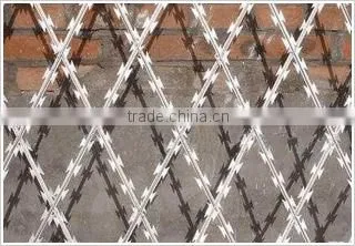 Low Price and High Quality Stainles Steel Rezor Barbed Wire photo-6