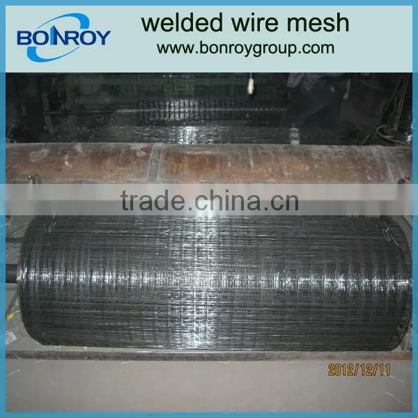 High Quality Galvanized Welded Wire Mesh