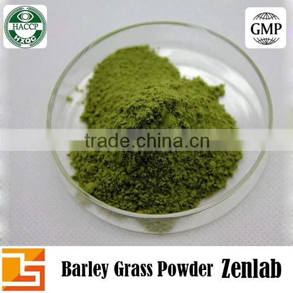 Best Selling Natural Green Barley Grass Powder photo-5