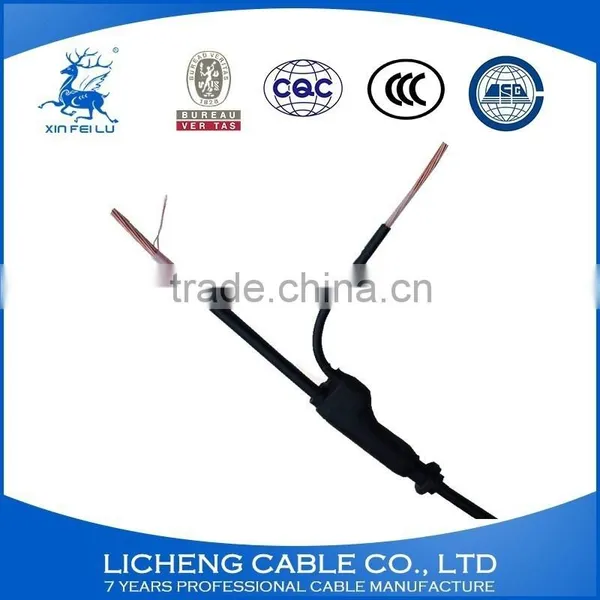 Best Quality FZ-VV25mm2 PVC Insulated and Sheathed Branch Cable photo-2