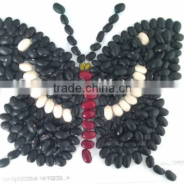 Black Kidney Beans /black Turtle Bean/black Bean/kidney Beans( 2010 Crop,Heilongjiang Origin, Hps)