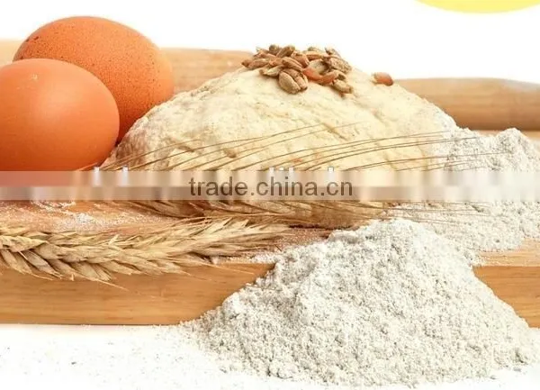 High Quality Organic Rice Protein Non-GMO photo-2