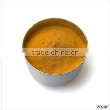 100% Pure Turmeric Powder From India