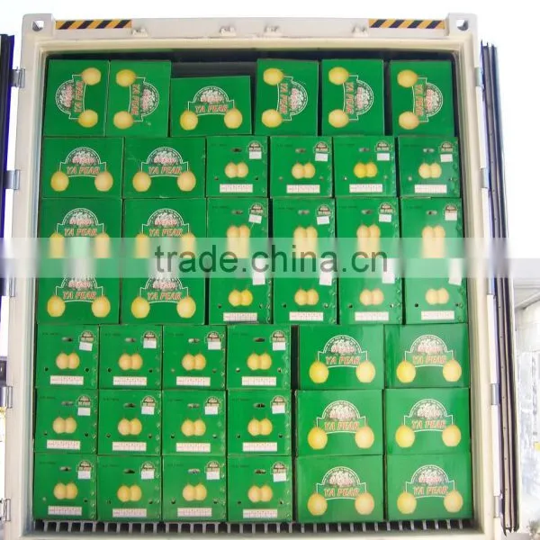 Fresh ya Pear Asia Pear With Cheap Price photo-6