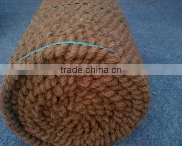 Coir Mat photo-2