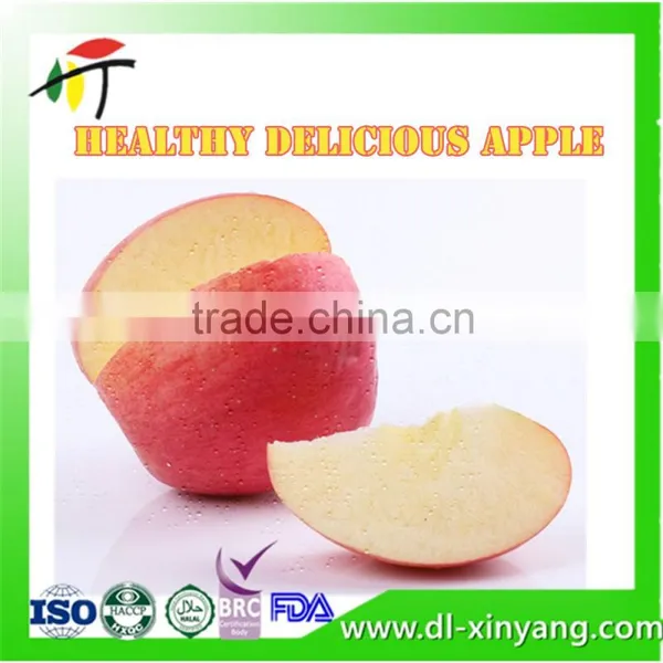 2016 New Season Natural Healthy Liaoning Hanfu Red Apple photo-3