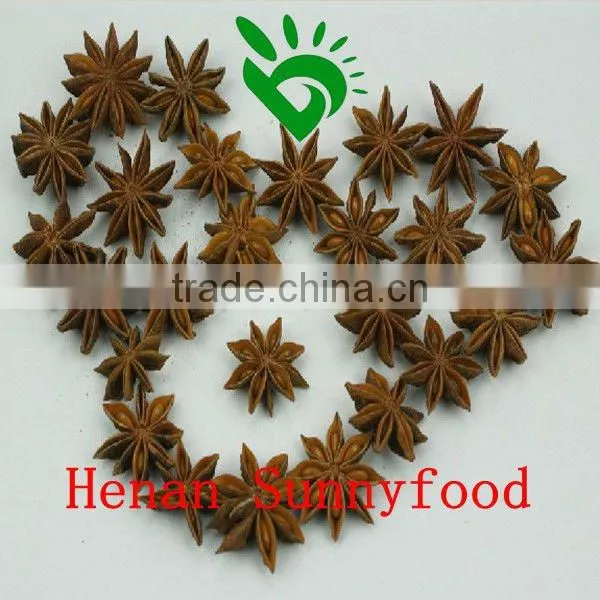 Dried Star Aniseed