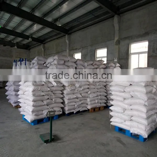 Apricot Kernels photo-5