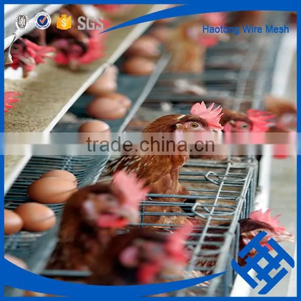 H Type Best Price Poultry Farm Egg Layer Chicken Cage photo-3