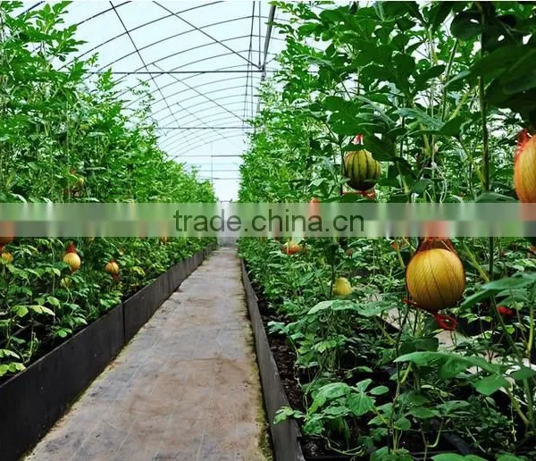 Good Daylighting and UV Resistance Vegetables Greenhouse,fruit Greenhouse,fiberglass Greenhouse photo-2