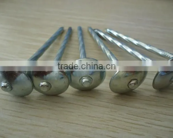 Umbrealla Nail With Roofing Head and Thread Nail Body photo-2