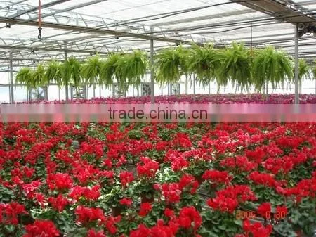Garden Greenhouse photo-2