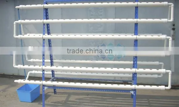 A Type Hydroponic Shelf for Agricultural Greenhouse Sale photo-3