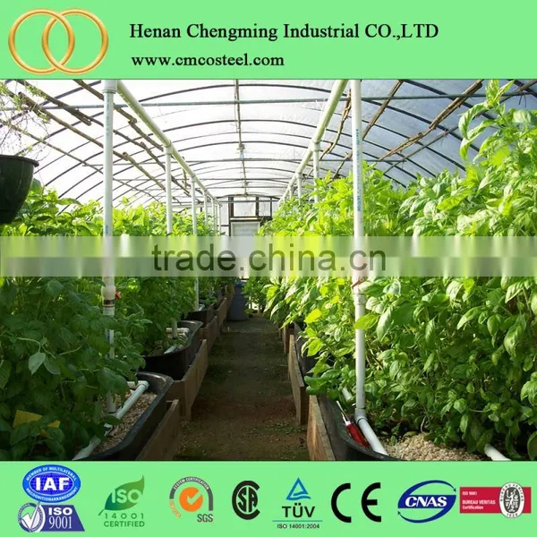 Garden Mini Greenhouse Made in Baosheng Manufacturer,tunnel Greenhouse for Sale