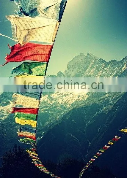 Lungta Wind Horse Tibetan Player Flag/10 Flags photo-3