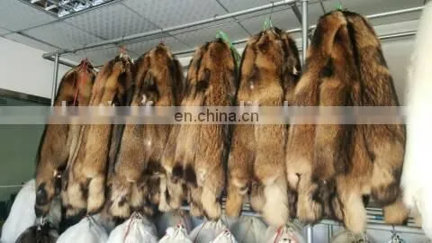 High Quality Genuine Raccoon Fur Skin for Coat /garment photo-5