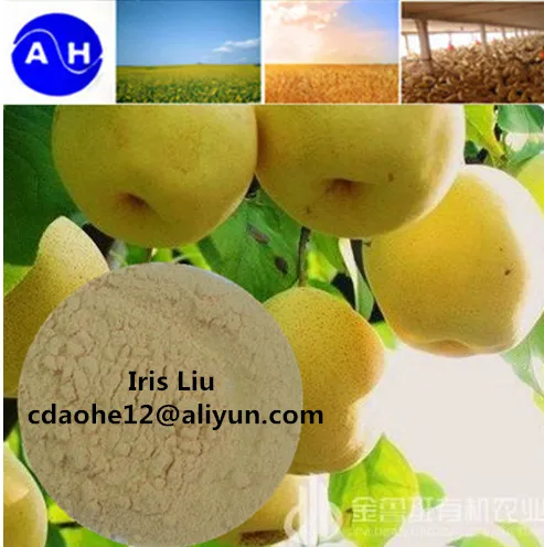 15% Iron Amino Aicd Chelated Organic Fertilizer AminoFe For Mineral Nutrition photo-3