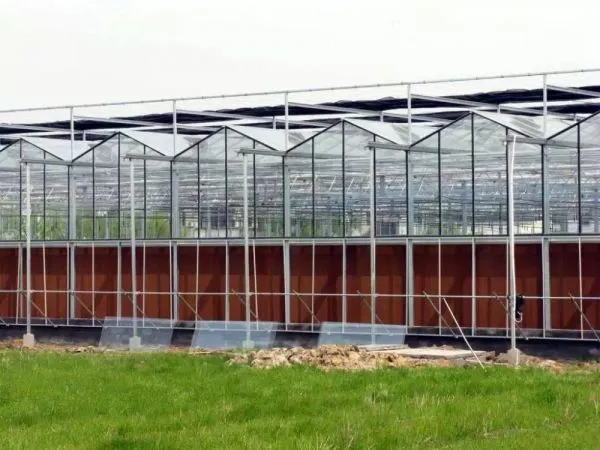 Multi Span Glass Greenhouse With 5+6+5/5+9+5mm Hollow Glass photo-2