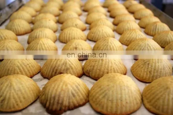 Beikn Machinery Filled Maamoul Maker Cookie Encrusting Forming Machines photo-5