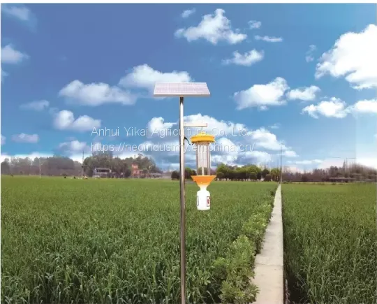 Sustainable Product Solar Insect Trap and Insect Light With Trap for Greenhouse