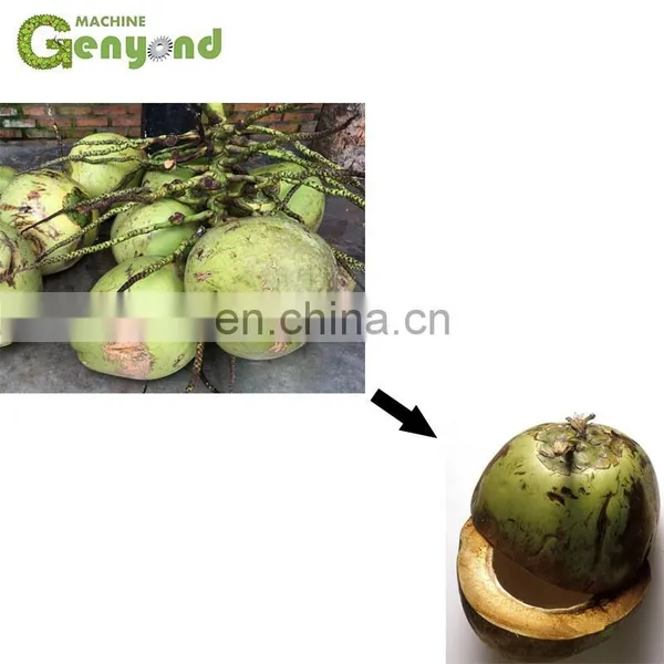 Fresh Coconut in Half Cutting Machine Price photo-3