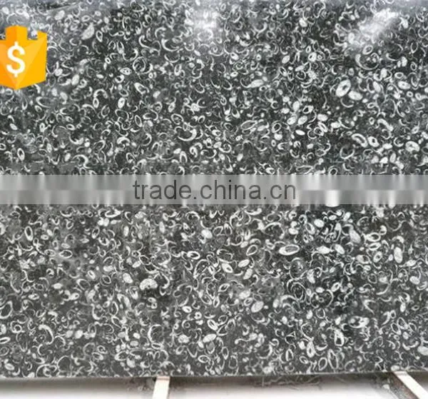Cheaper Superior Supply Black Fossil Marble Decorative Wall Tile photo-6