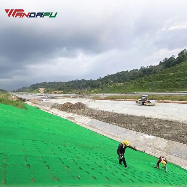 Wandafu High Quality 3D Geomat for Slope Protection Turf Reinforcement Mats photo-5